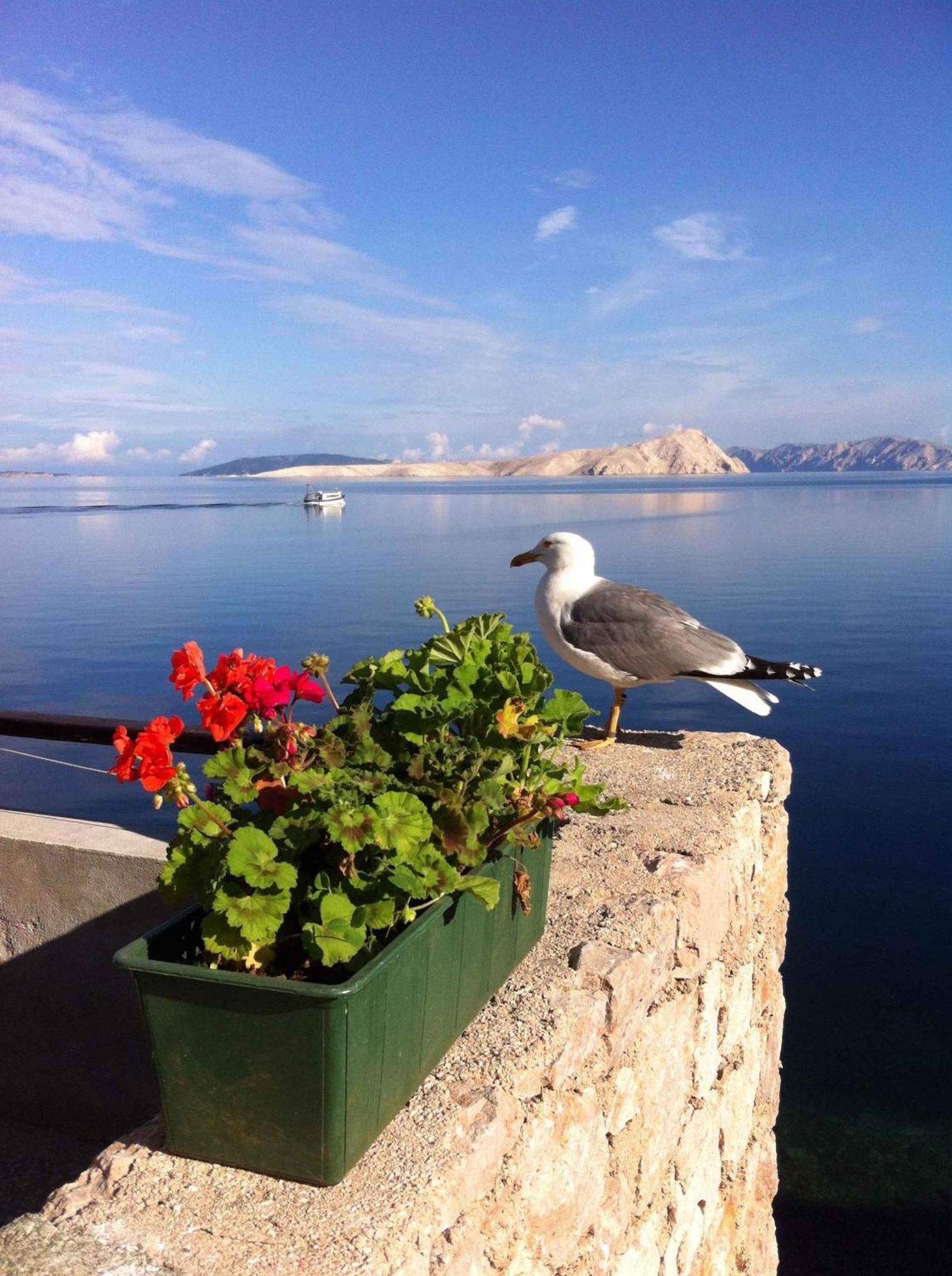 Apartment Starigrad/Senj 1 Starigrad  Luaran gambar